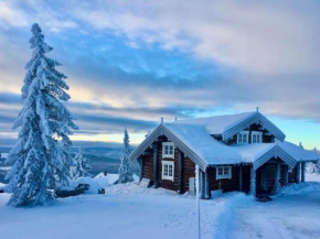 Newer lovely cabin in Birkebeinerbakken Sjusjøen